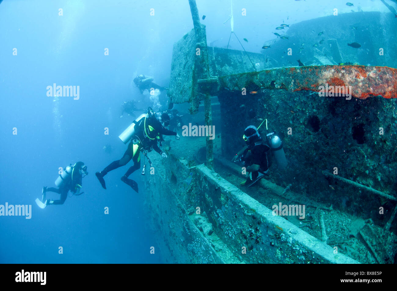 I subacquei ad un naufragio presso il Parco Nazionale di Ras Mohammed, il Mare Rosso, Il Sinai, Egitto, Foto Stock