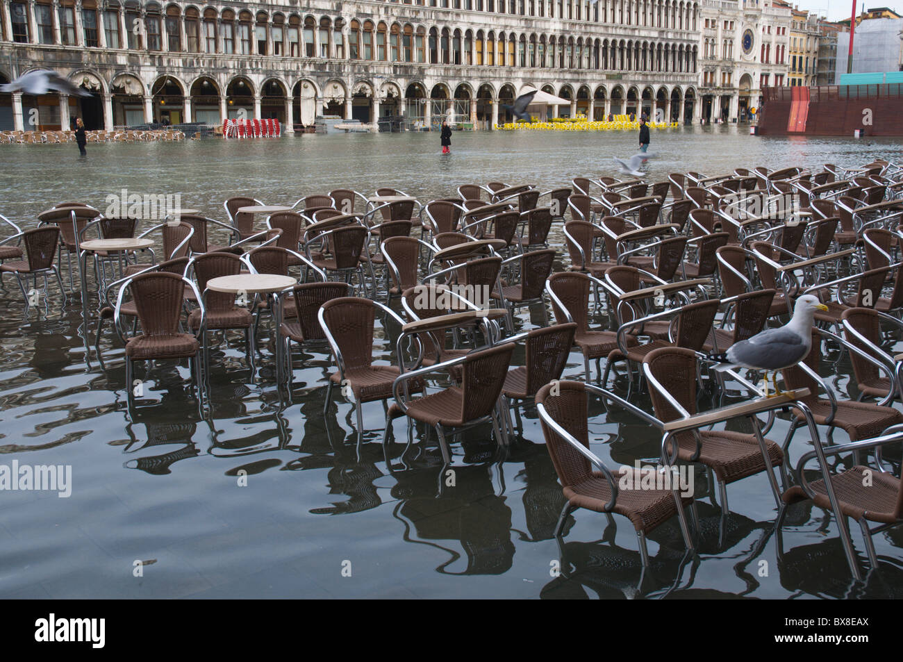 Cafe e i tavoli e le sedie sotto acqua di Piazza San Marco durante l'alta marea inondazioni zona di San Marco Venezia Veneto Italia settentrionale Foto Stock