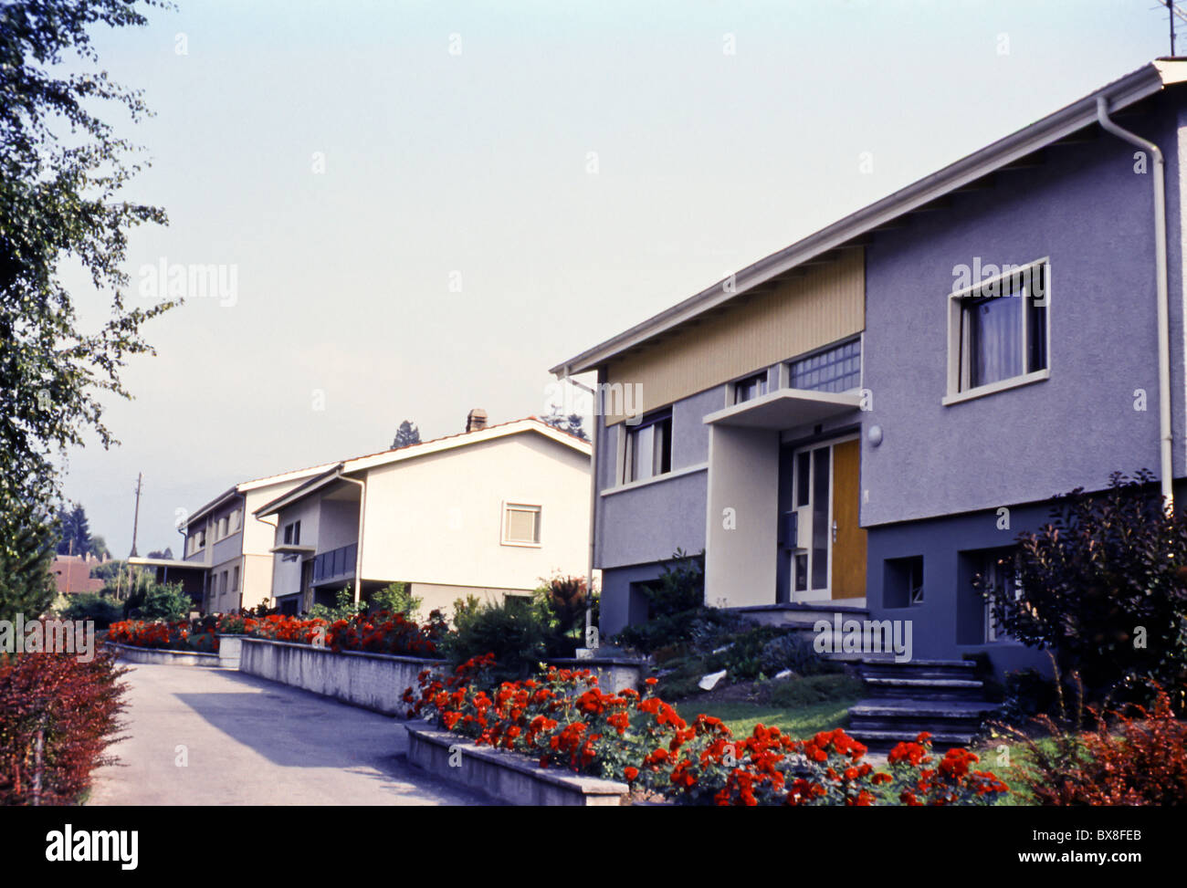 Un'immagine degli anni '1960 di una tenuta residenziale suburbana nei Paesi Bassi, che mostra moderne case semi-indipendenti e giardini del periodo. Foto Stock