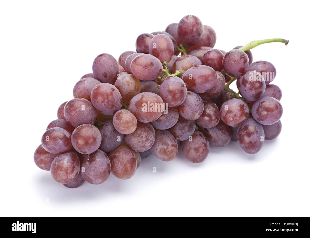 Frutta dell'uva Foto Stock