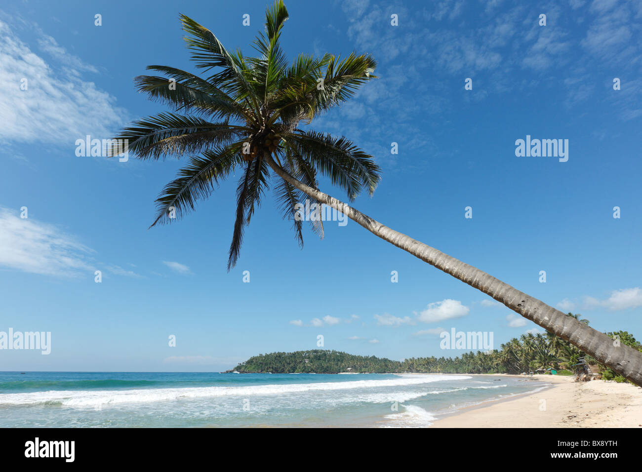 Paradiso tropicale spiaggia idilliaca con palm Foto Stock