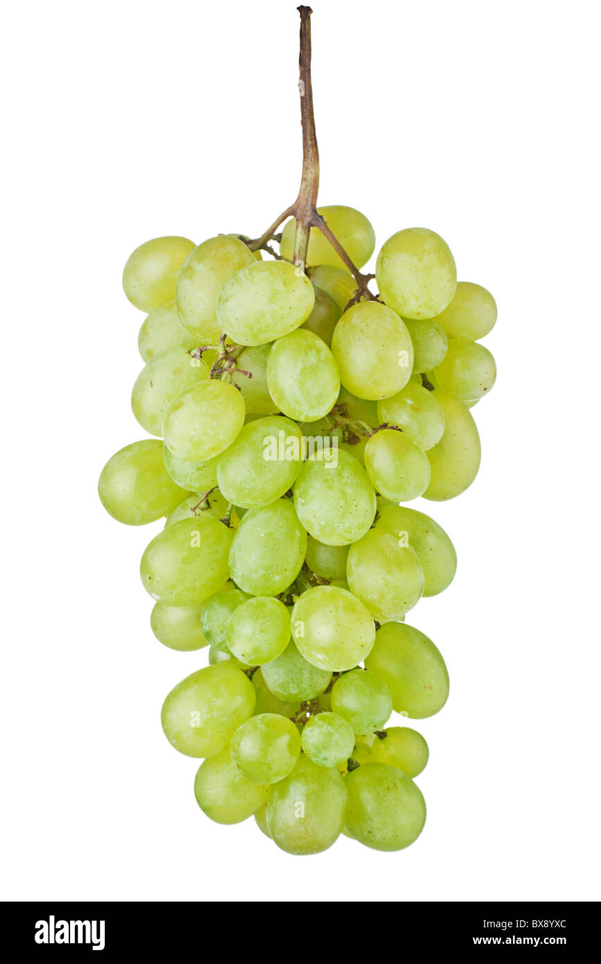 Frutta dell'uva Foto Stock
