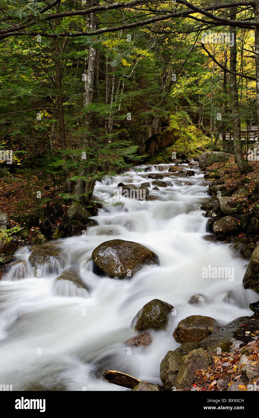 Flume Brook nel Flume Gorge Area della Franconia Notch State Park in Grafton County, New Hampshire Foto Stock
