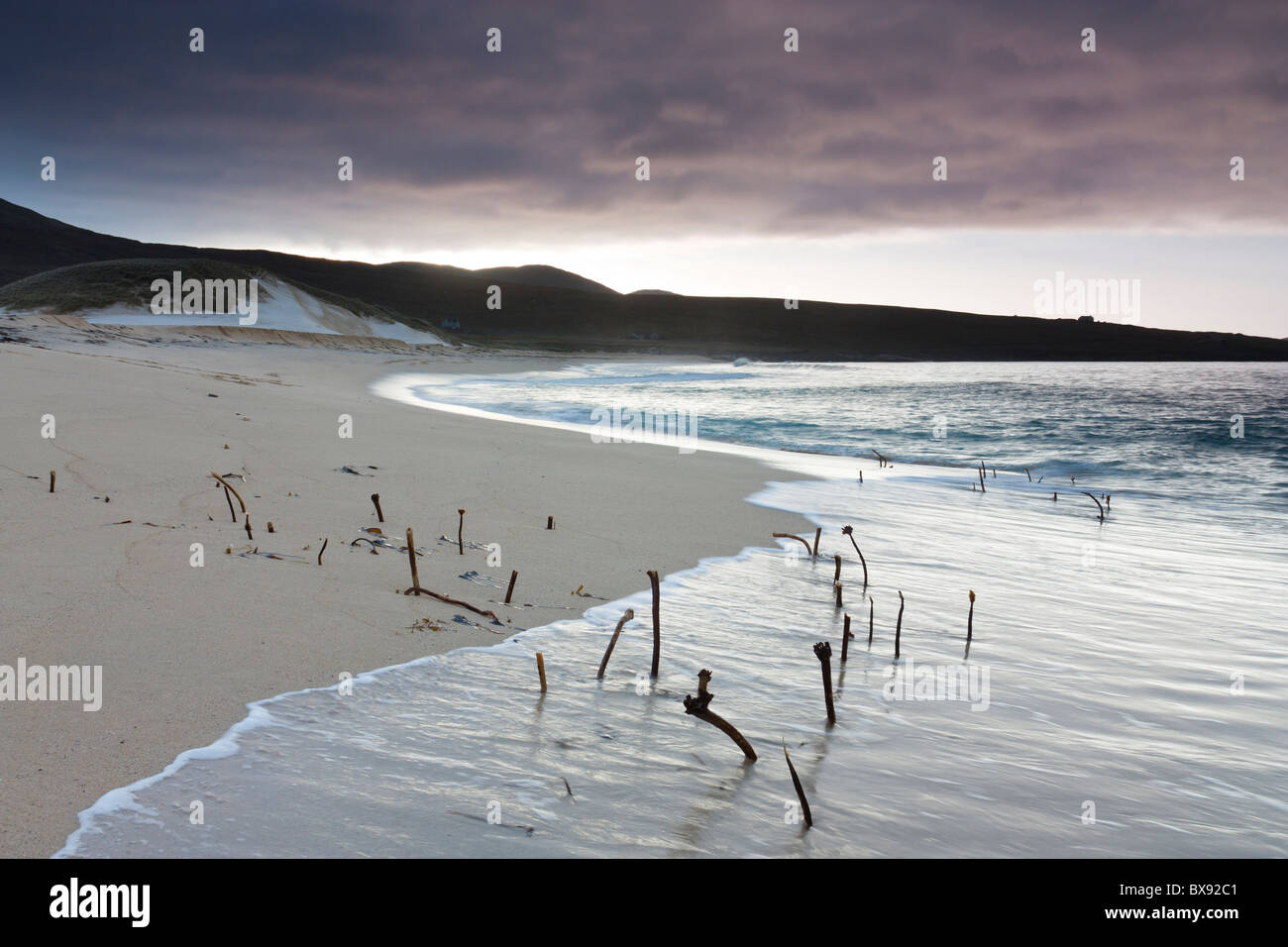 La germogliazione di alghe dalla spiaggia di Traigh Mhor sulla costa occidentale dell'Isola di Harris, Scozia. Foto Stock