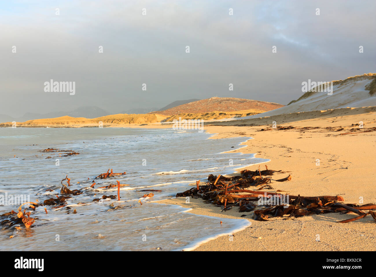 Le alghe lavate sulla riva con la Atlantic a Traigh Mhor Beach sulla costa occidentale dell'Isola di Harris, Scozia. Foto Stock