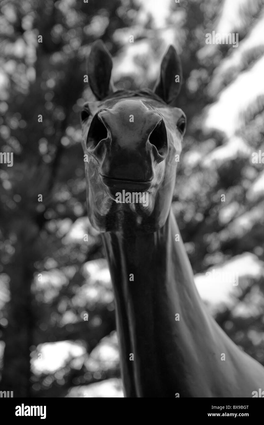 Testa della statua di Makybe Diva in Port Lincoln in Australia. Il cavallo è stato tre volte Melbourne Cup vincitore in Port Lincoln Foto Stock