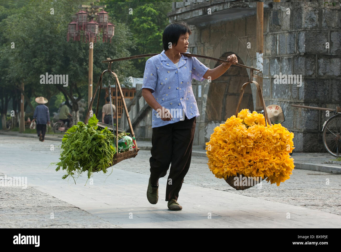 La donna che porta un carico molto pesante di fiori di zucca, che vengono venduti per salse, in un villaggio di mercato di Yangshuo, Guangxi, Cina. Foto Stock