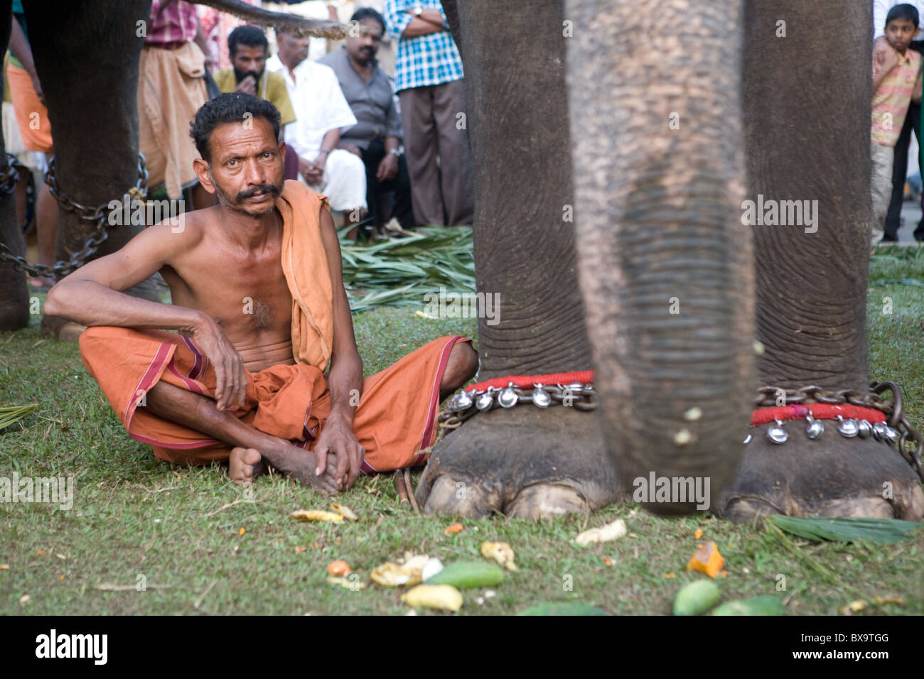 Mahout Cochin Festival di elefante Foto Stock