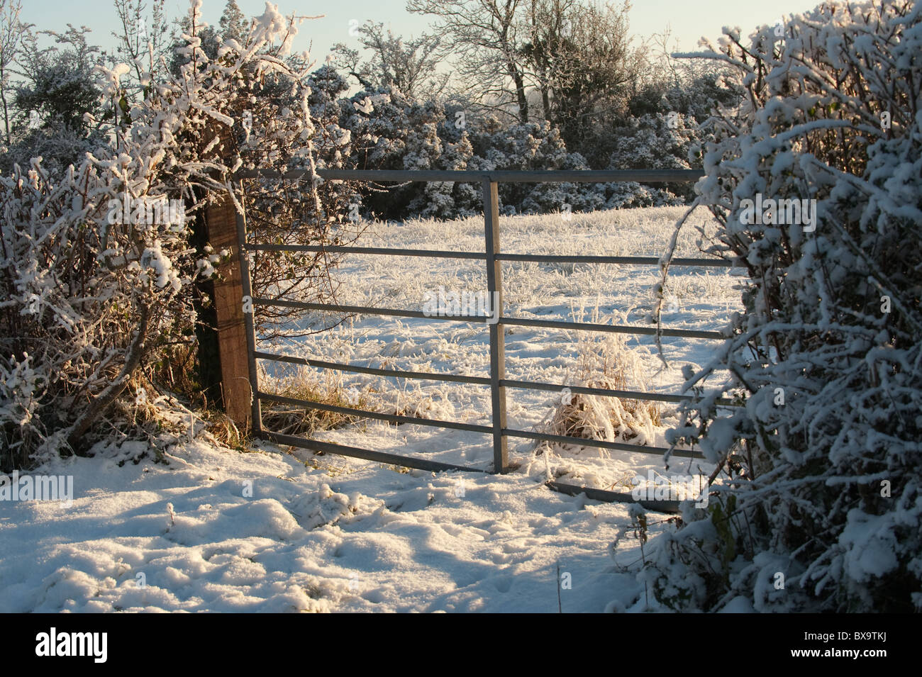 Un gateway al Winter Wonderland di un campo congelato in attesa per la primavera per arrivare Foto Stock
