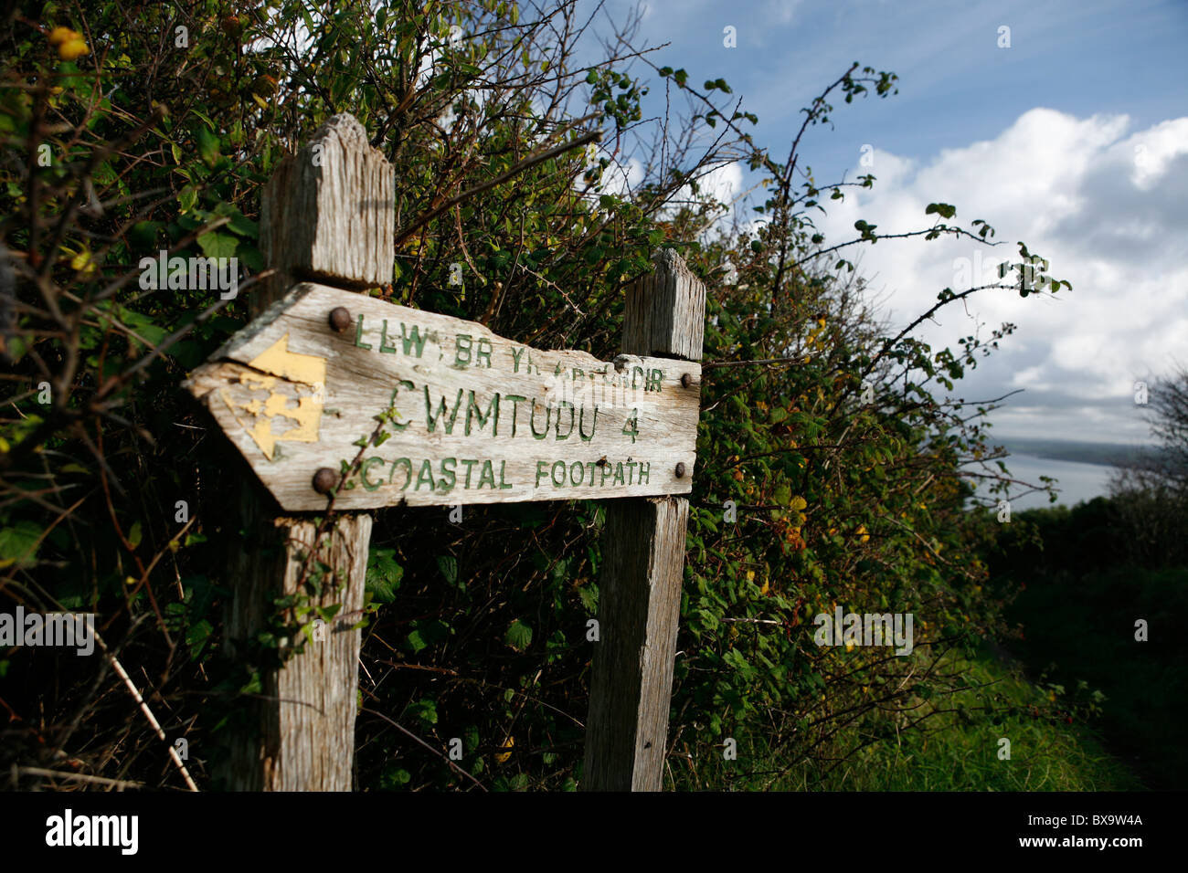 Passeggiate con il Ceredigion modo, Galles Foto Stock