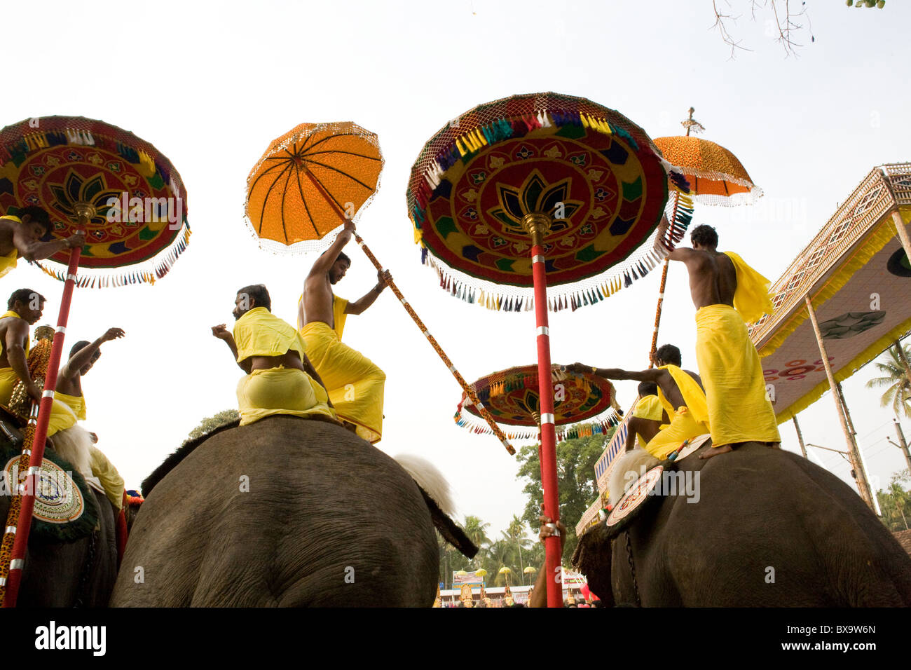 Elephant Festival tempio Cheri mahouts con ombrelloni Foto Stock