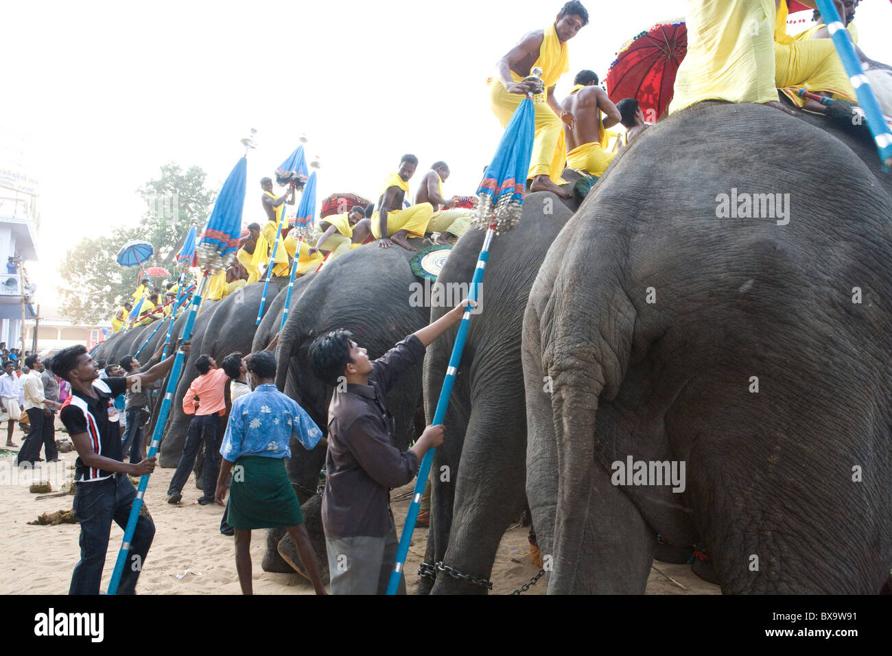 Elephant Festival tempio Cheri Foto Stock