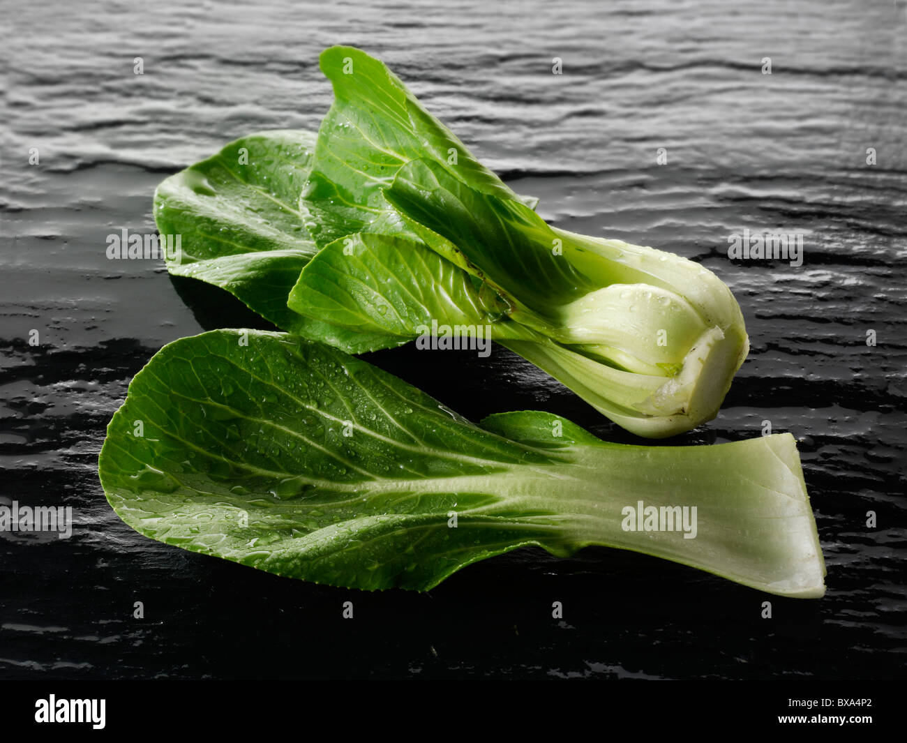 Fresh pak choi stock foto Foto Stock