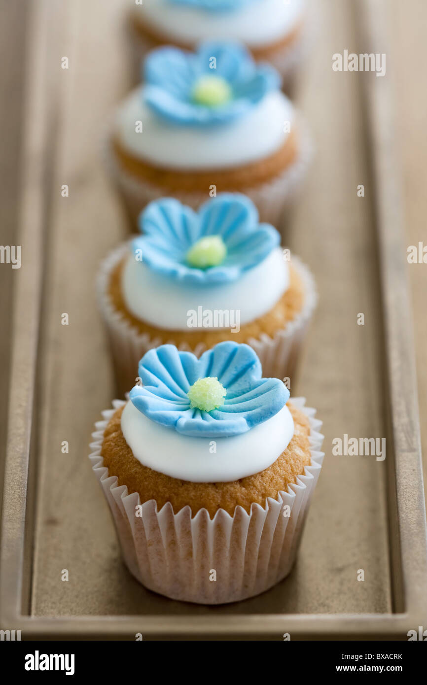 Cupcakes Foto Stock