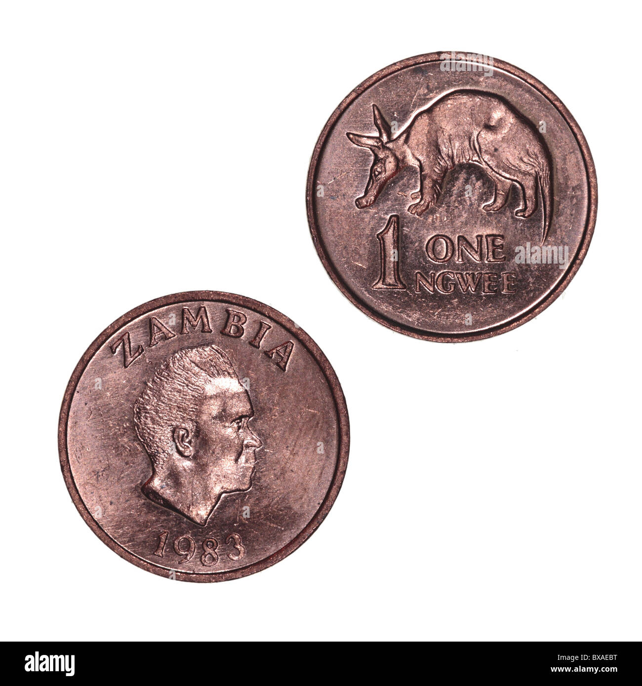 Moneta Zambian One ngwee Foto Stock