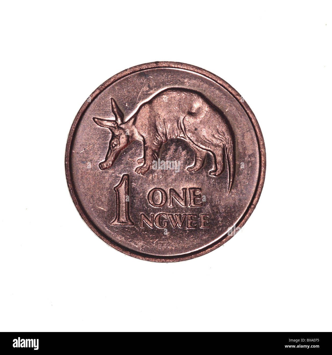 Moneta Zambian One ngwee Foto Stock