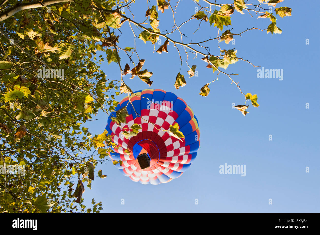 Una mongolfiera vola direttamente sopra la testa al il 2010 Shenandoah Valley Hot Air Balloon Festival, Virginia. Foto Stock