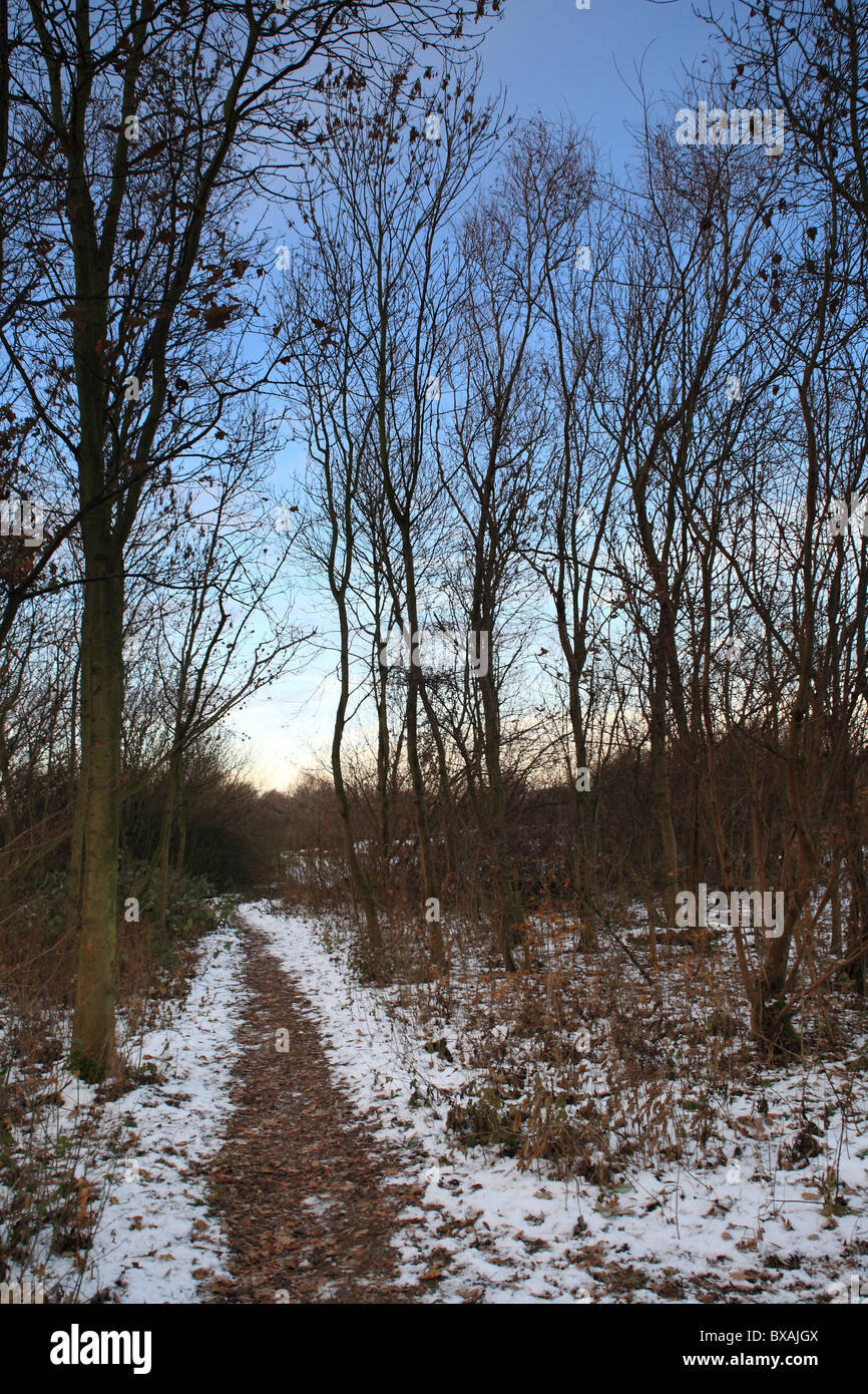 Inverno scene Parkland Nottingham Inghilterra Foto Stock