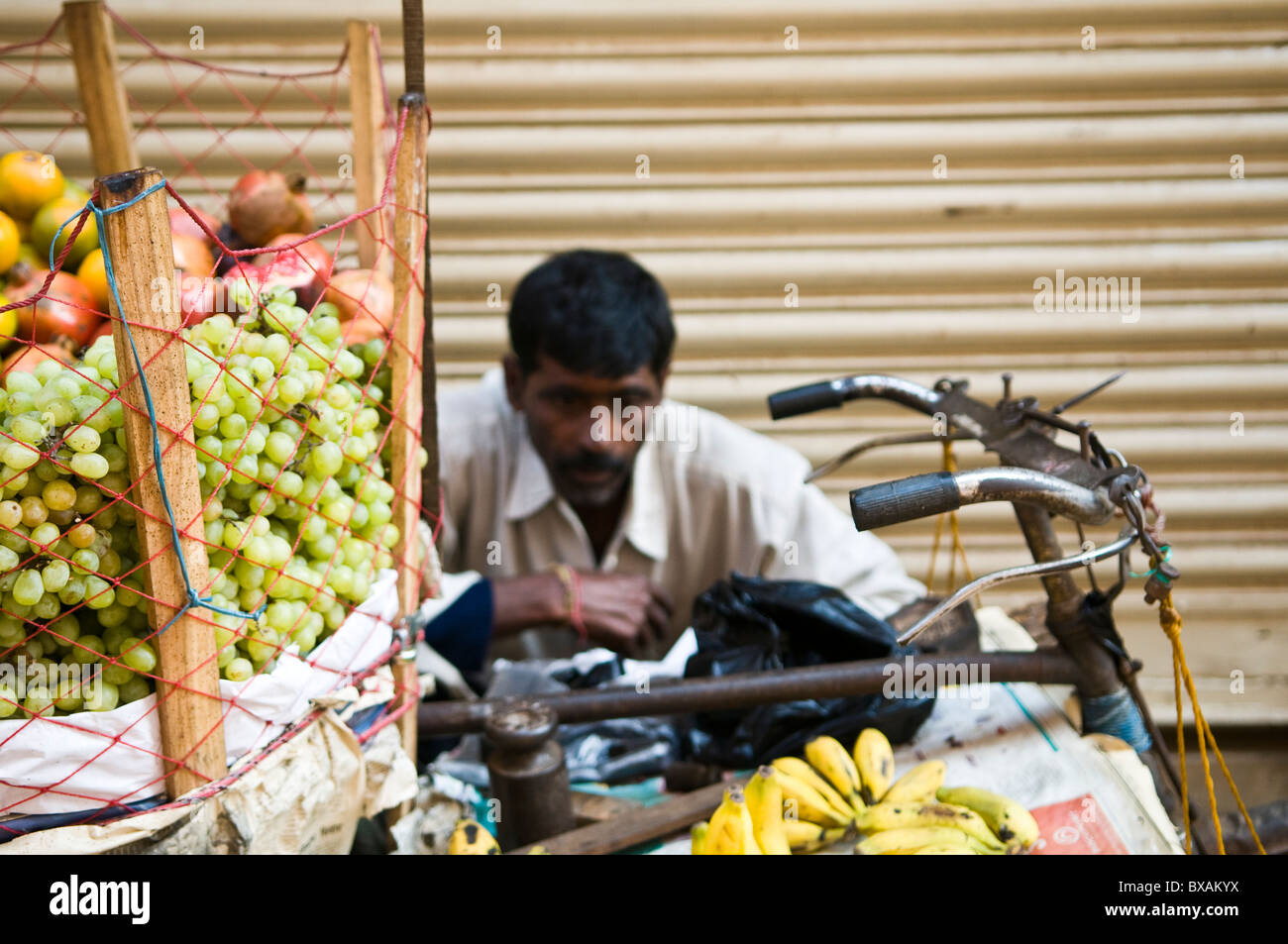 Un fornitore indiano per la vendita di frutta. Foto Stock