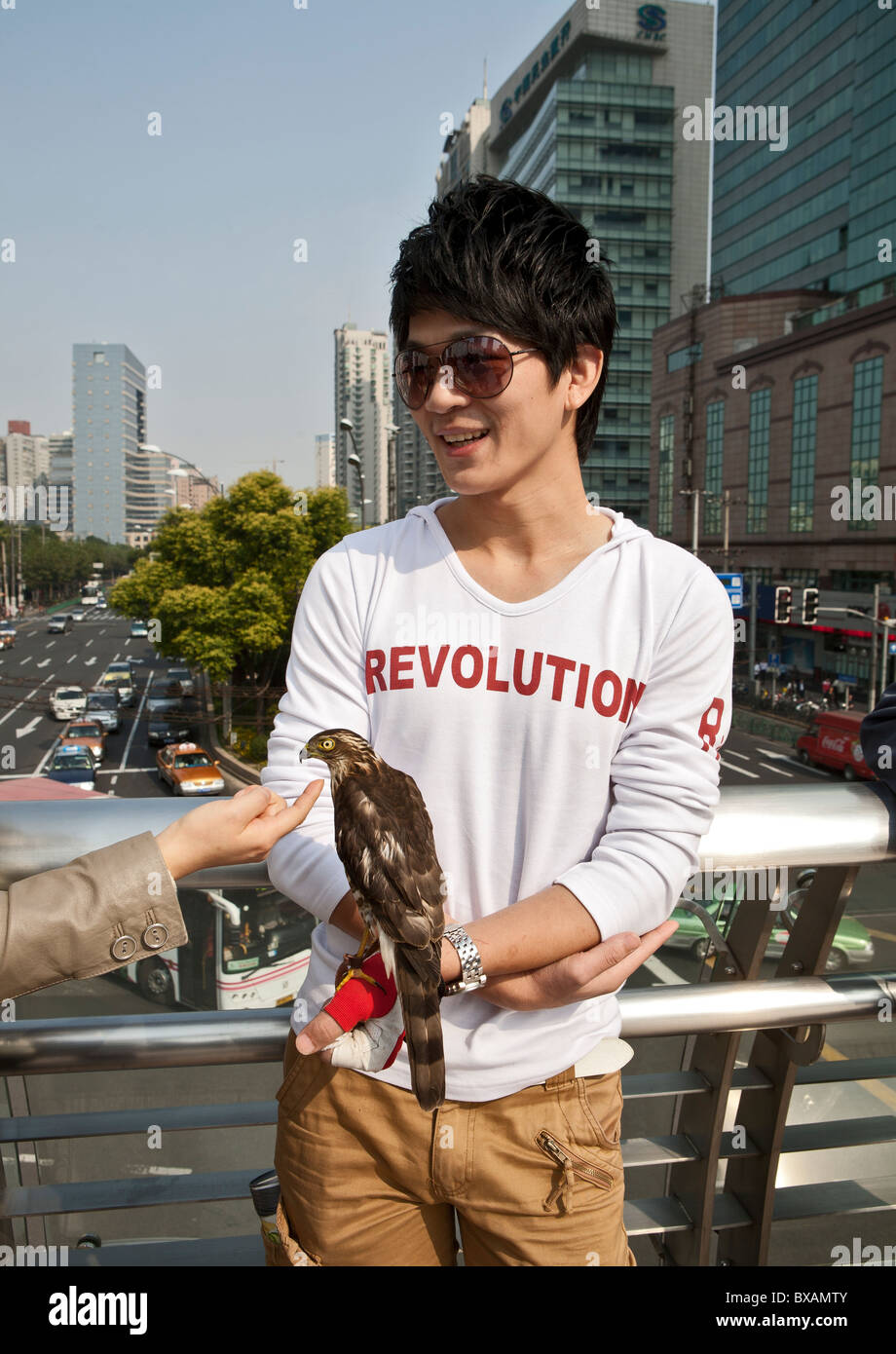 Uomo con uccello appollaiato sulla mano, Xijiahui District , Shanghai, Cina Foto Stock