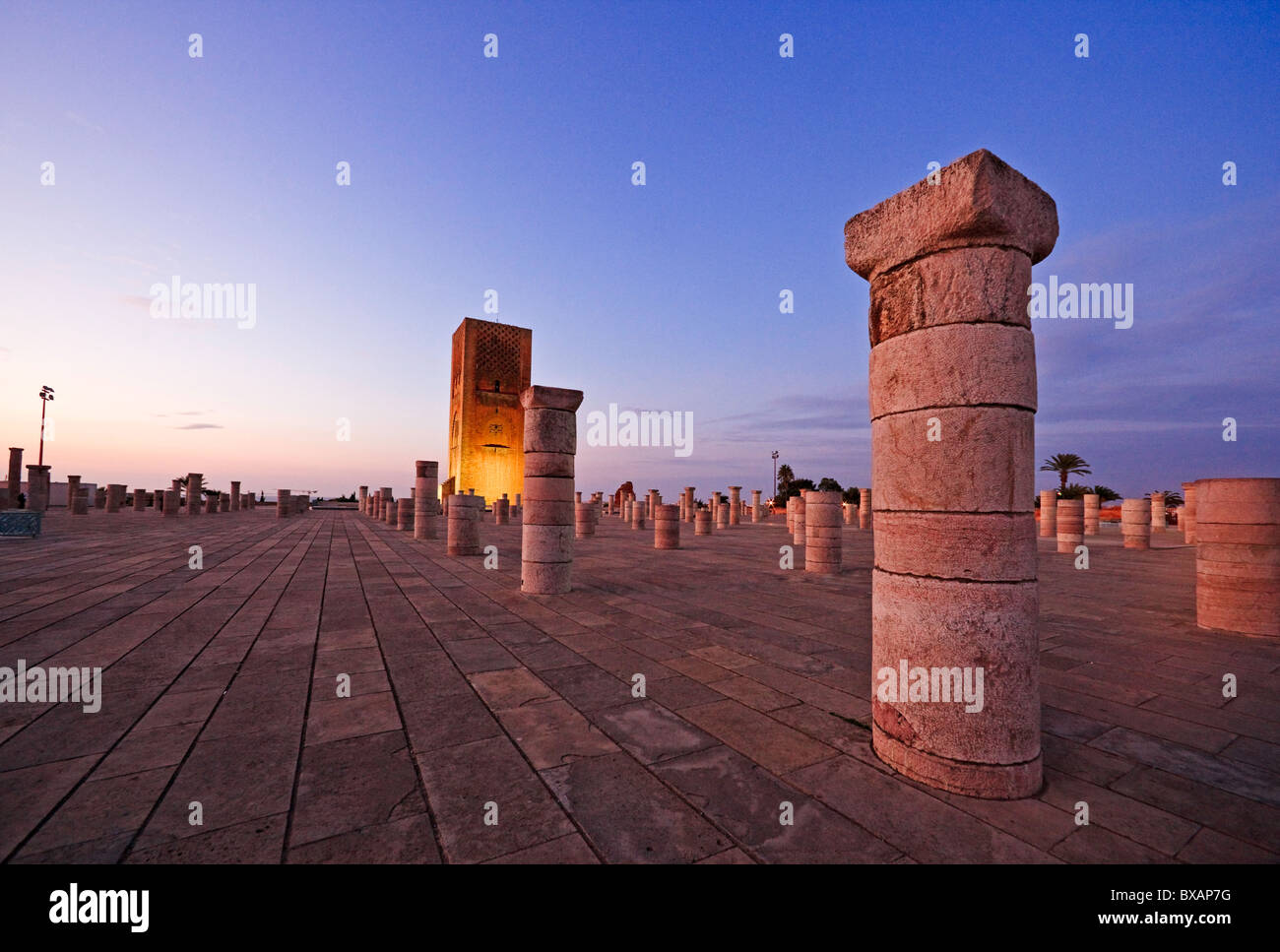 La Torre Hassan e moschea incompiuta in Rabat Foto Stock