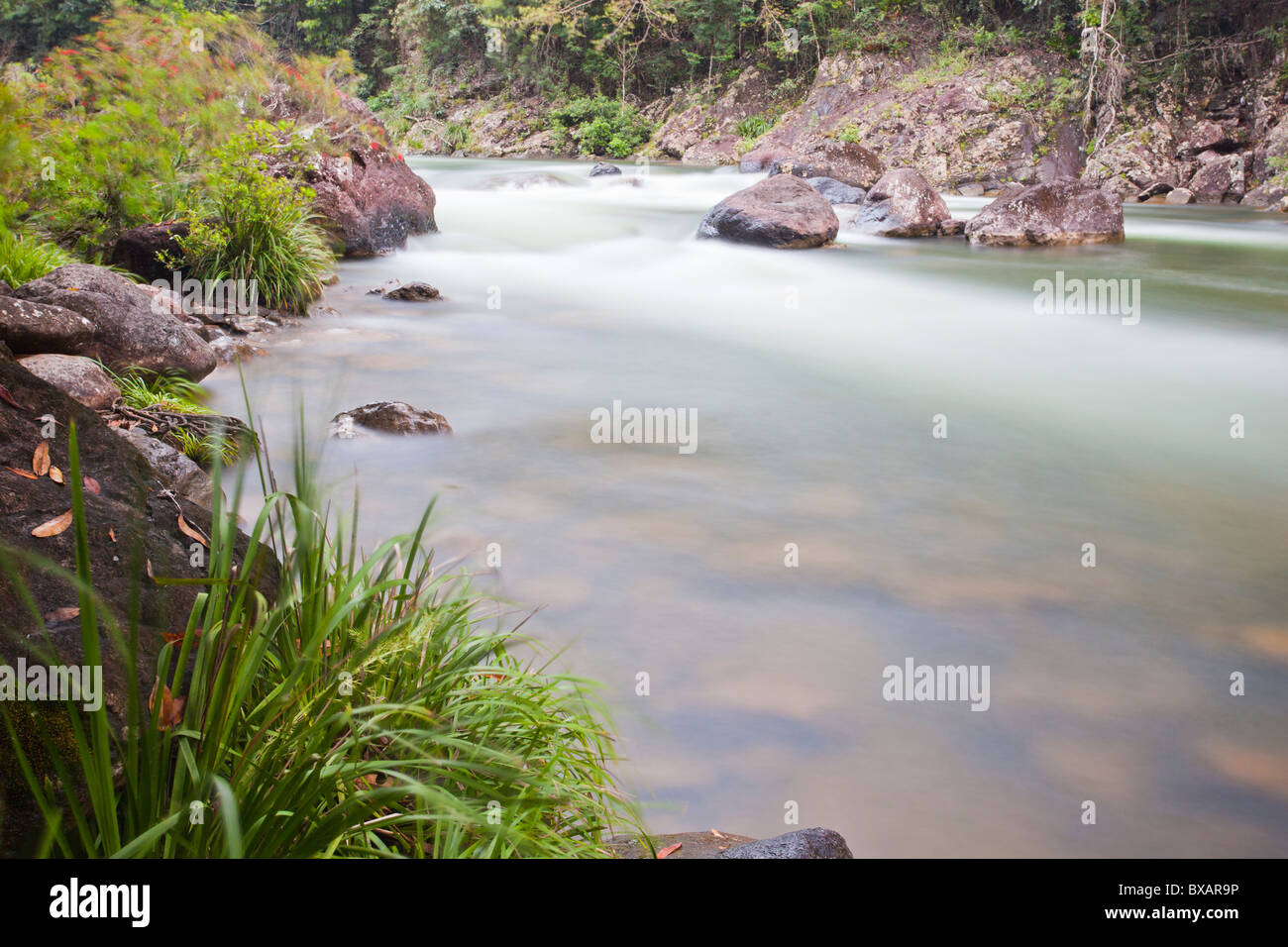 Acqua Bianca sul Fiume Tully, Tully, estremo Nord Queensland Foto Stock