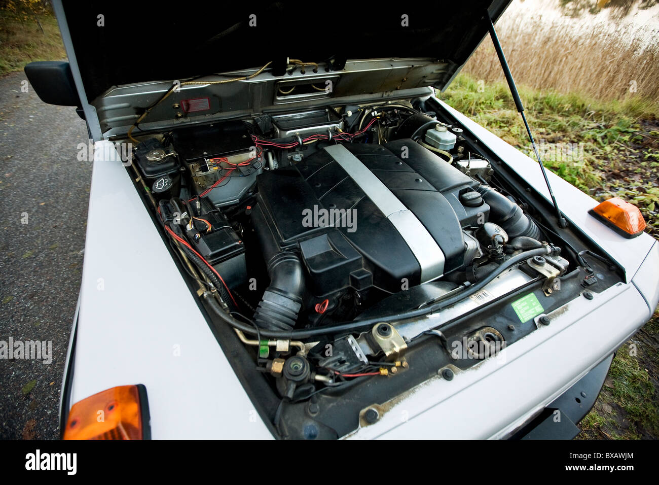 Aprire il cofano per auto che mostra il motore Foto Stock