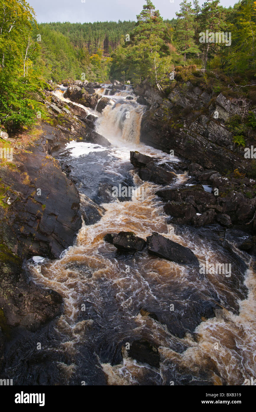 Rogie Falls, Garve, Inverness, regione delle Highlands, Scozia, Settembre 2010 Foto Stock
