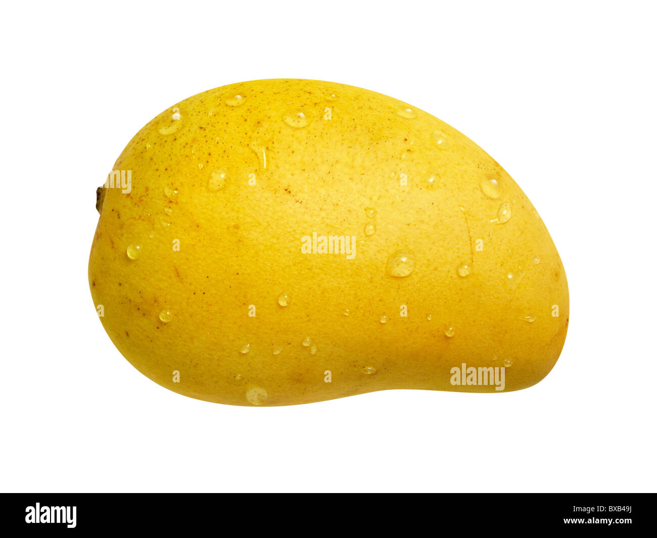 Ataulfo Mango isolato su uno sfondo bianco. Foto Stock