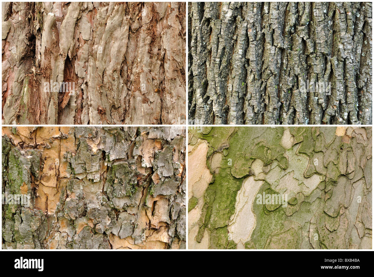 Per PS4 PLAYSTATION 4 - Etichetta Pellicola Adesivo - Foto 12