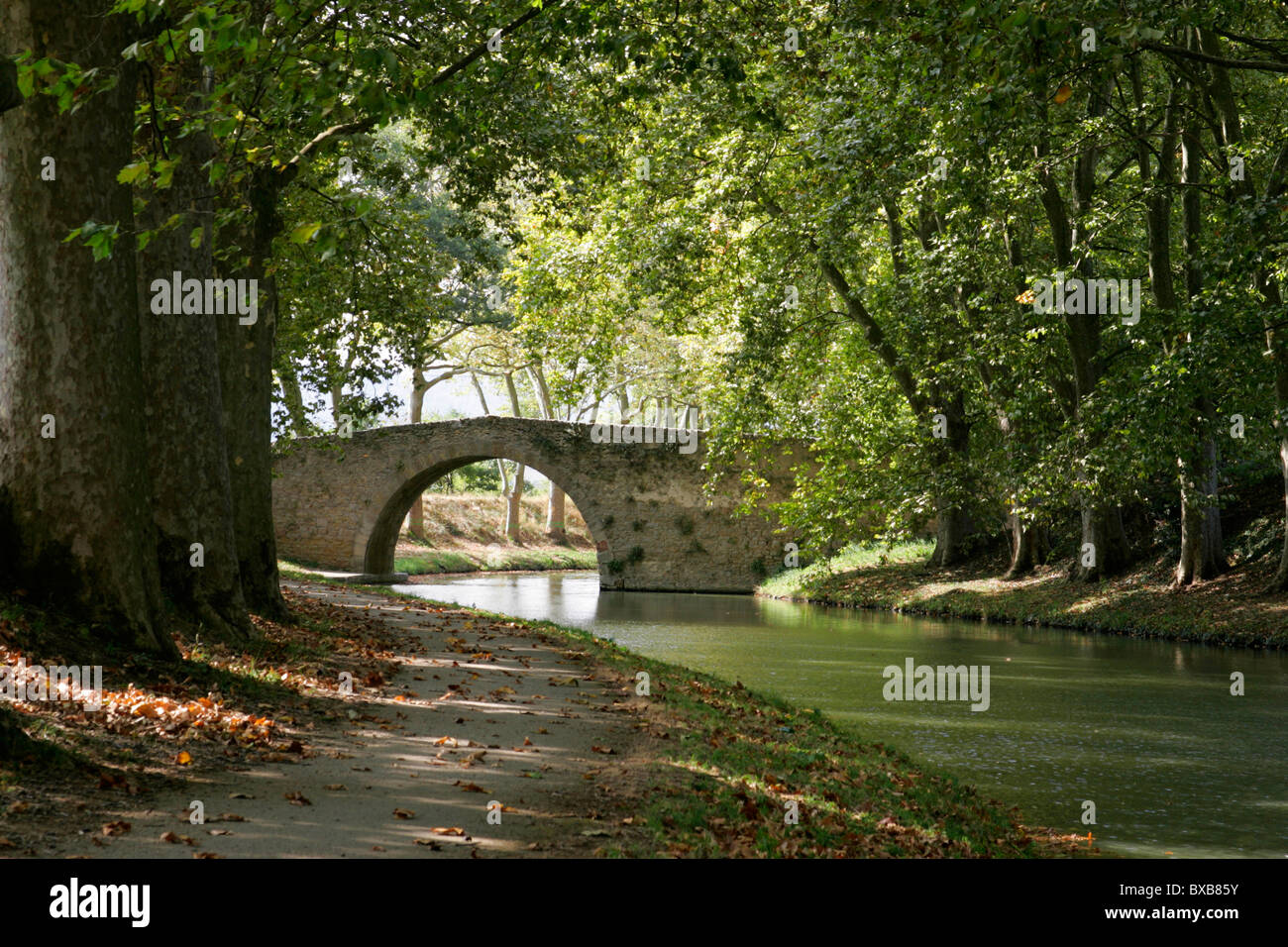 Piccolo ponte, il Canal du Midi, Trebes, Carcassonne, Aude, Francia, Europa Foto Stock