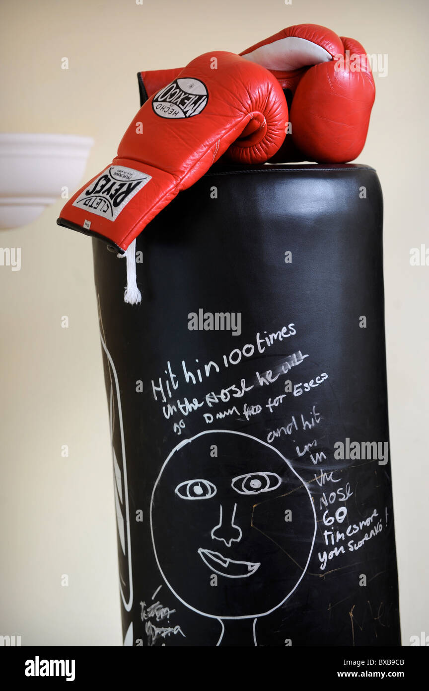 I guantoni e punch bag in casa del campione di boxe Joe Calzaghe vicino a Blackwood South Wales 2008 Foto Stock