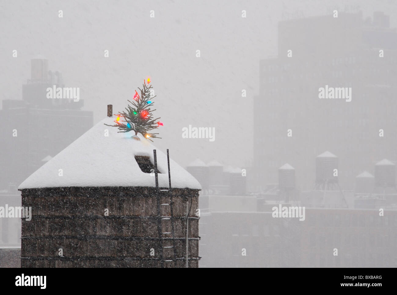 Albero di Natale sulla parte superiore della città di New York Water Tower in neve. Foto Stock