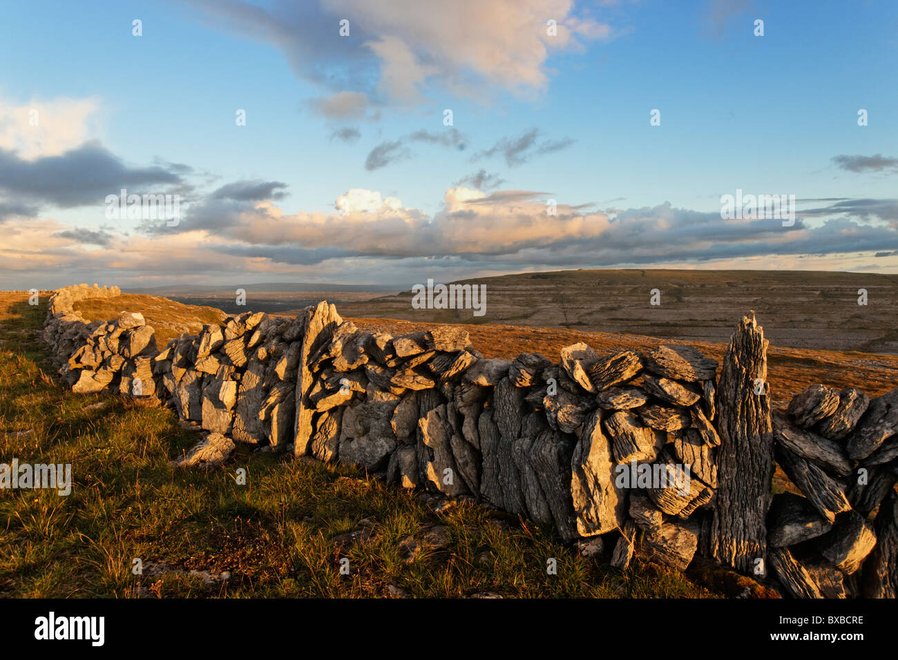 Muri in pietra a secco su Turlough Hill, Burren, County Clare, munster, irlanda. Vista verso Slievecarran Foto Stock