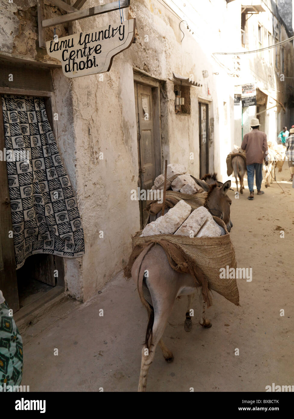 Asino a piedi attraverso la città di Lamu, Africa Foto Stock