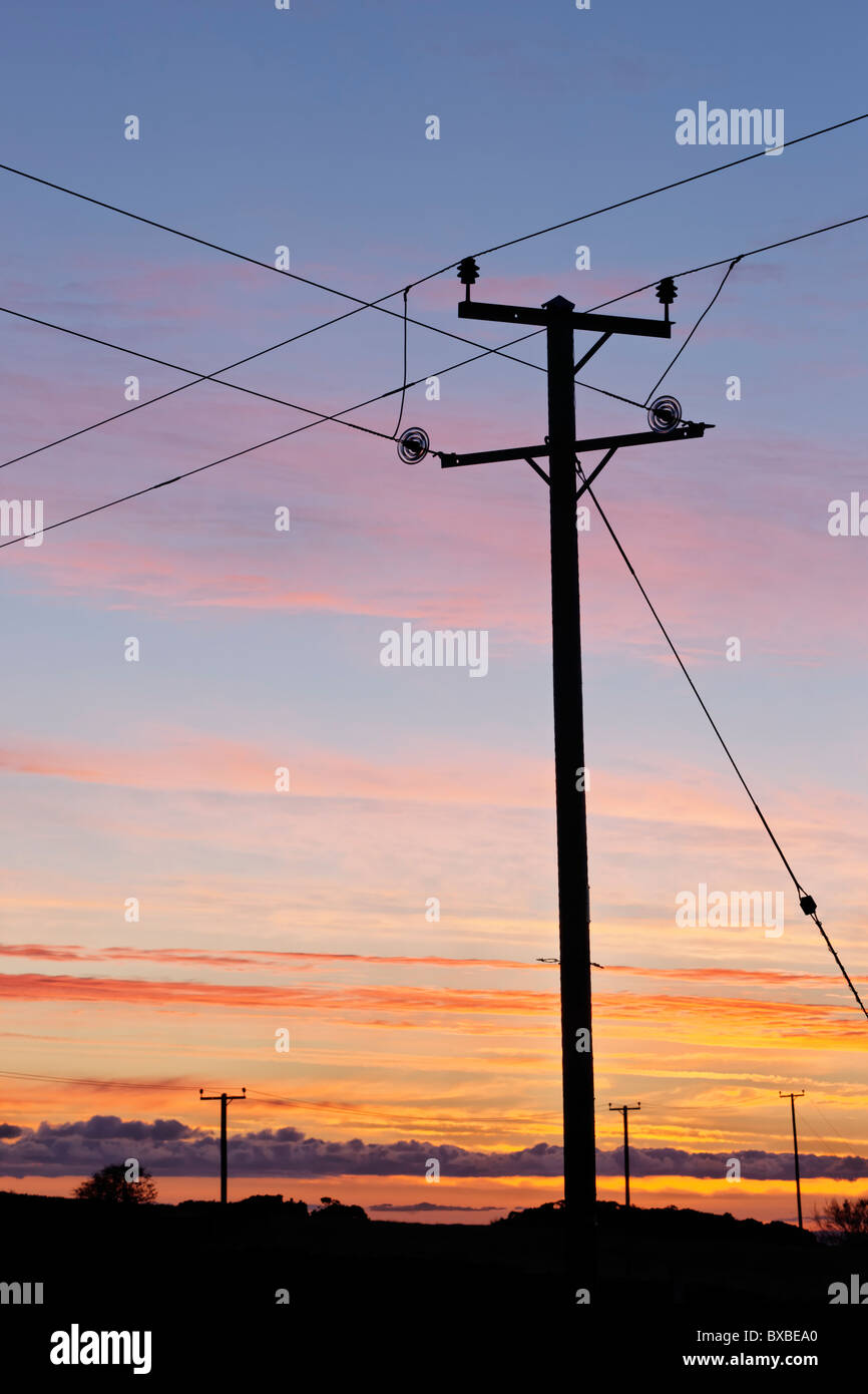 Le linee elettriche e pole stagliano contro un cielo di sunrise, Irlanda del Nord, Regno Unito Foto Stock