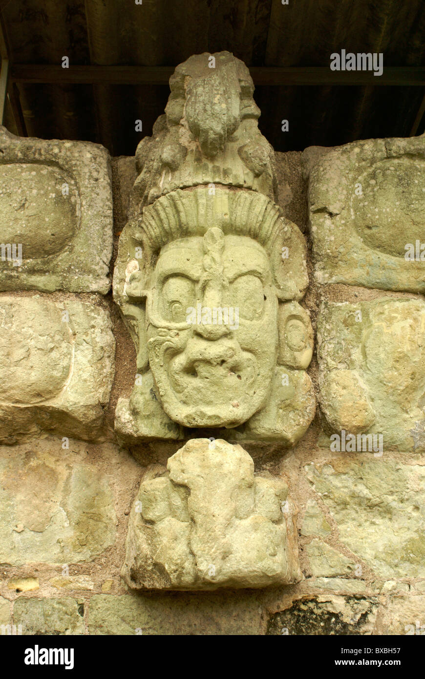 Maya scolpito Jaguar Sun Dio faccia sulla parete della Corte Est, Copan, Honduras. Copan è un sito Patrimonio Mondiale dell'UNESCO. Foto Stock