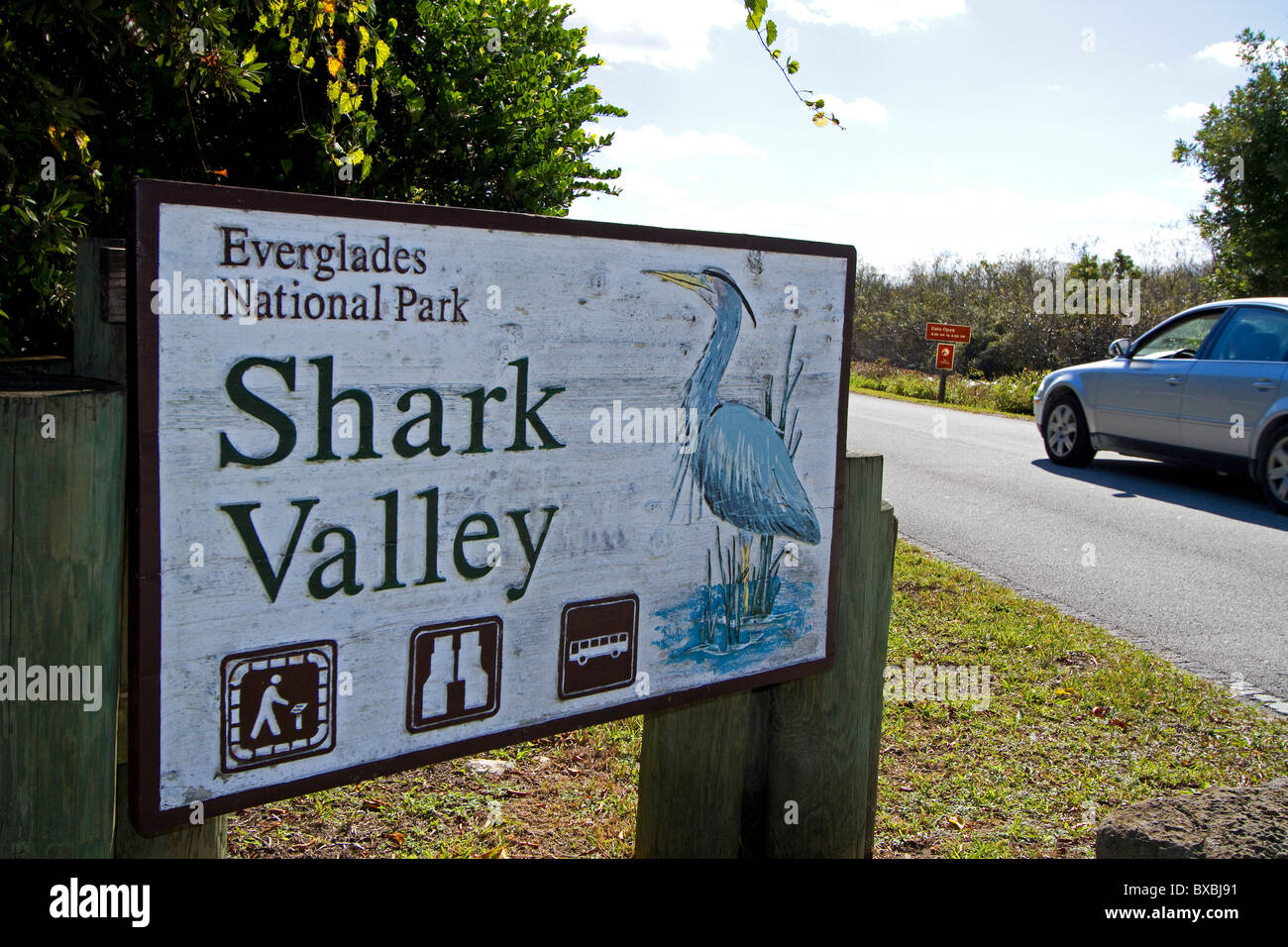 Parco nazionale delle Everglades Shark Valley, Everglades della Florida. Foto Stock