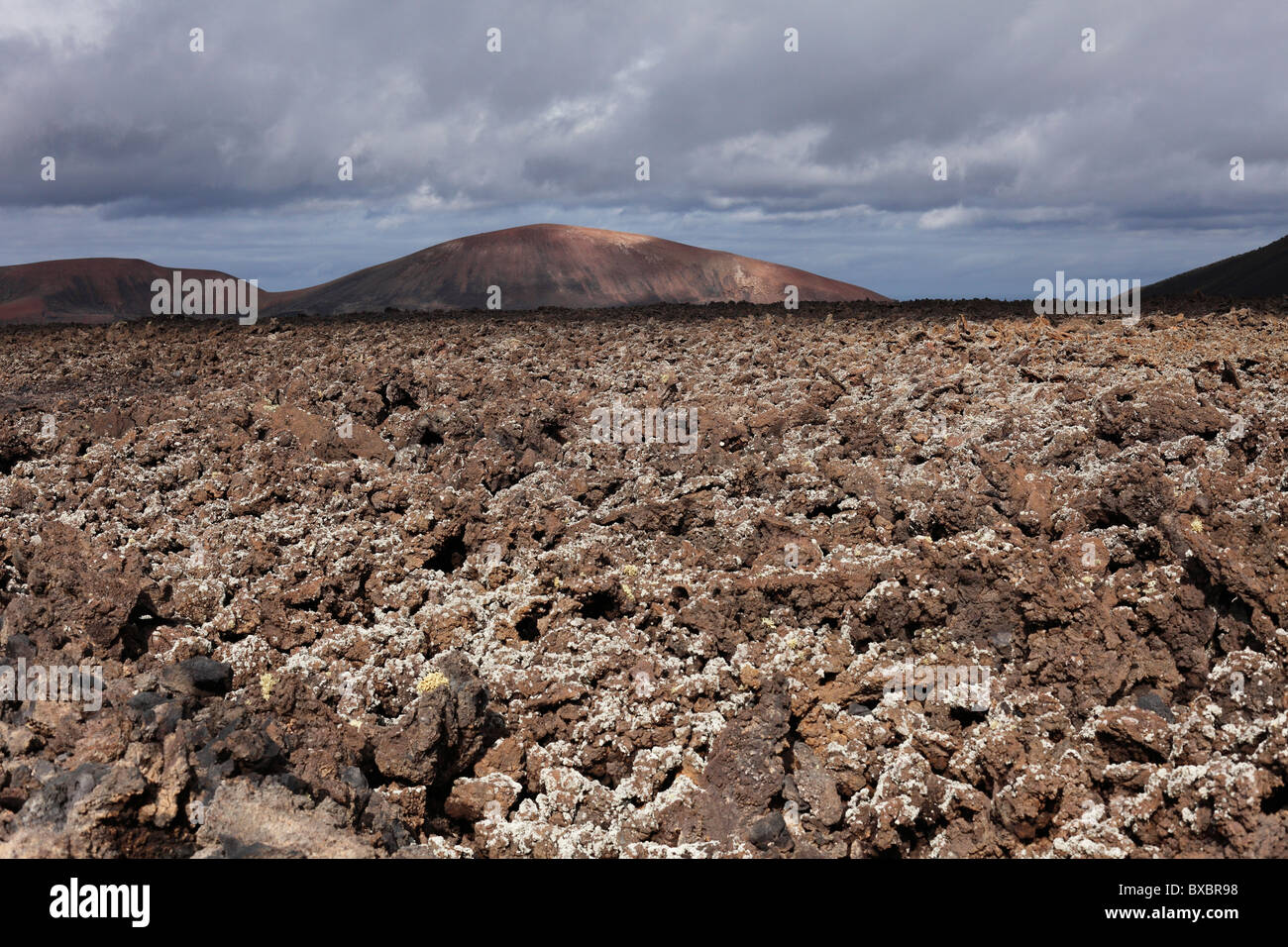 Montaña Ortiz vulcano, campo di lava con i licheni, Lanzarote, Isole Canarie, Spagna, Europa Foto Stock