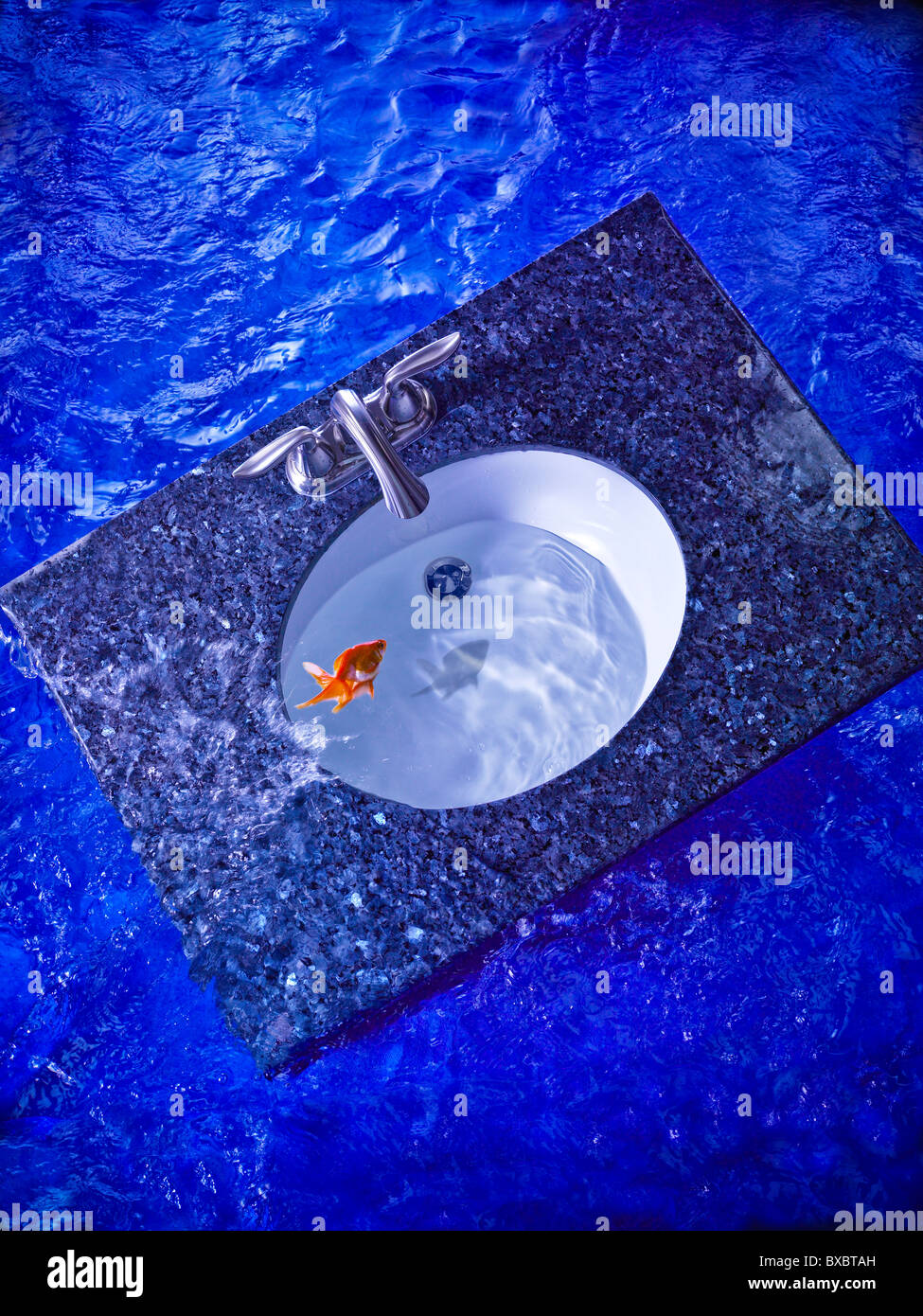 Piccolo goldfish salta in marmo lavandino del bagno Foto Stock