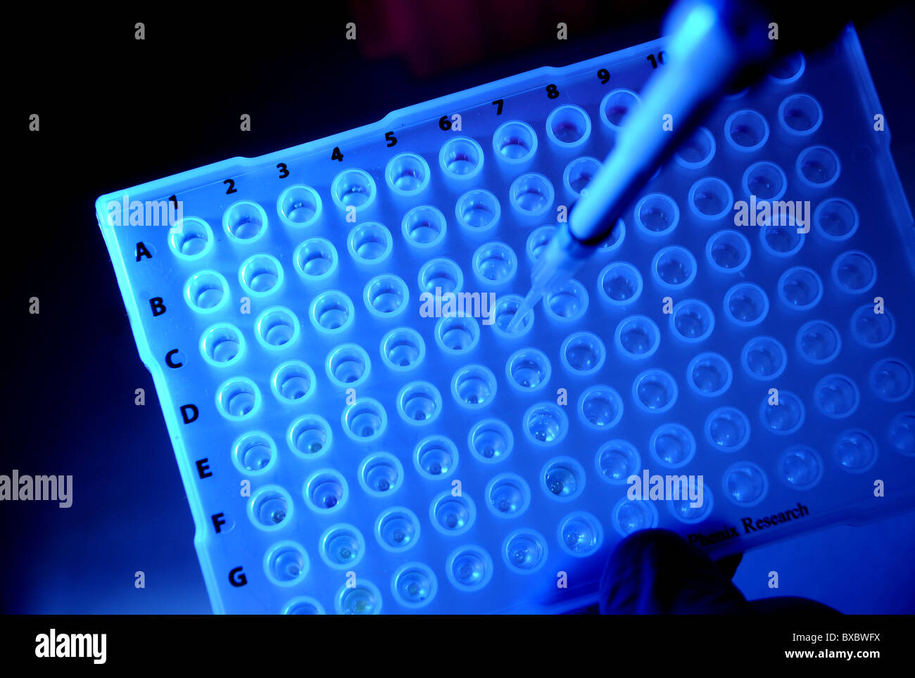 La ricerca di farmaci per il trattamento del cancro e del morbo di Parkinson. Foto Stock