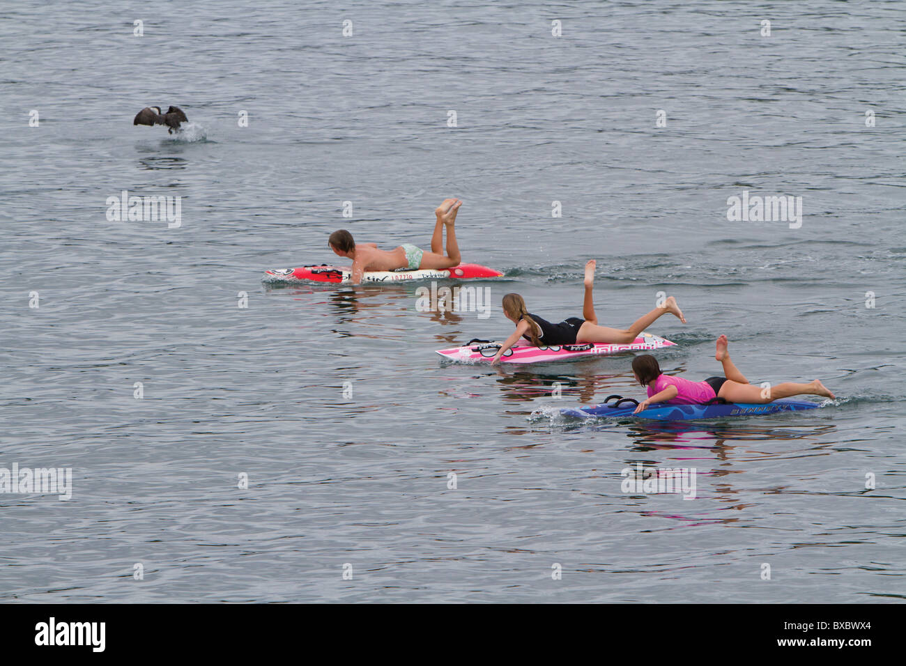 Paddle board training. Foto Stock