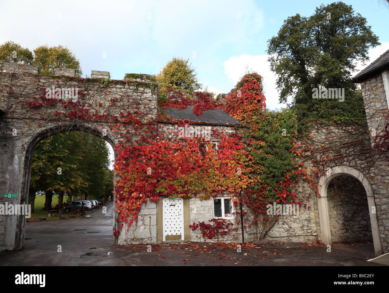 Bodelwyddan Castle parete con Virginia Galles del superriduttore Foto Stock