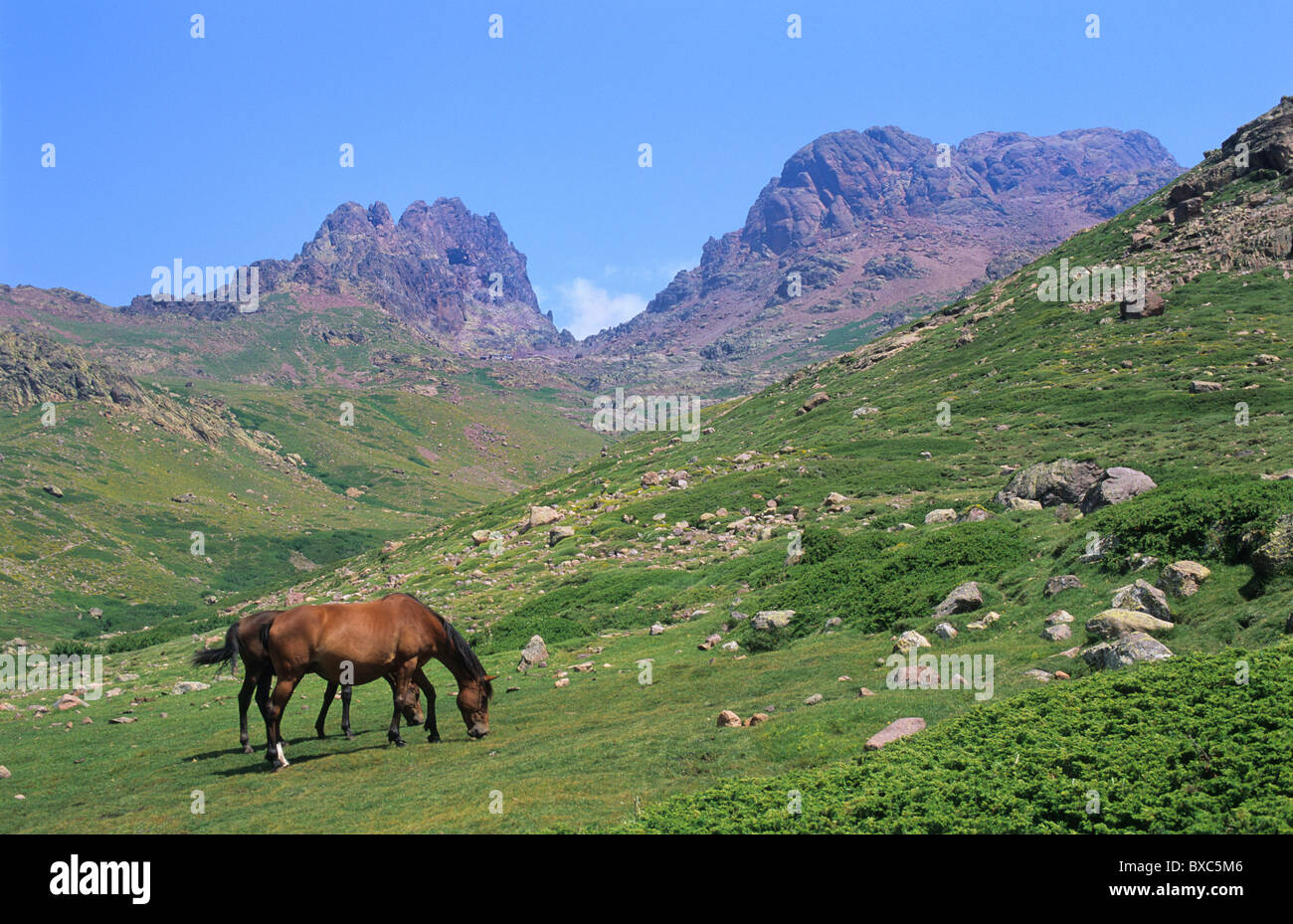 Francia, Corsica, Haute-Corse, GR 20, il Capo Tafonato (2335 m) - sinistra - e la Paglia Orba (2525 m) - destra - Foto Stock