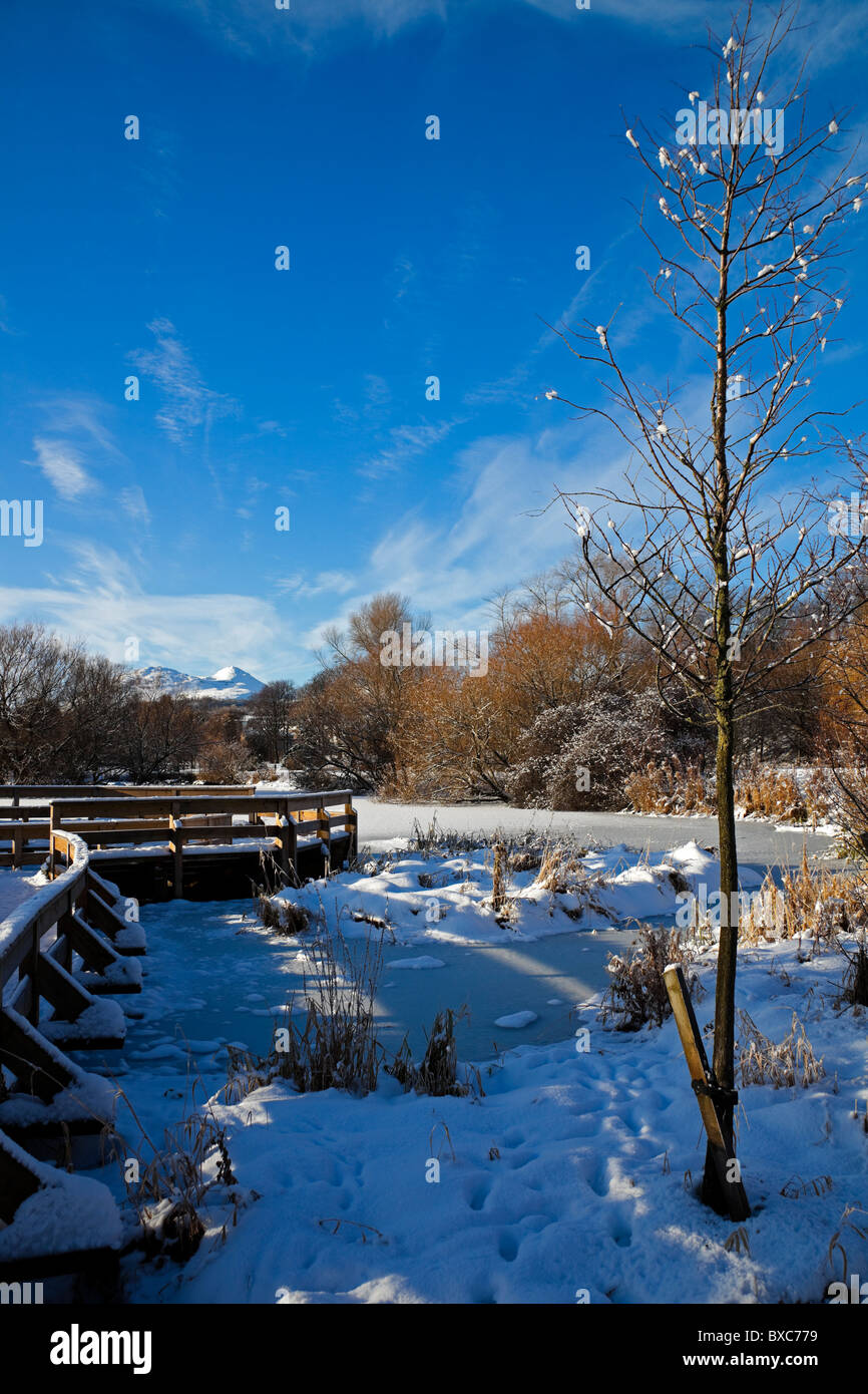 Passerella di legno coperto in inverno la neve, Figgate Park, Edimburgo Scozia UK Europa Foto Stock