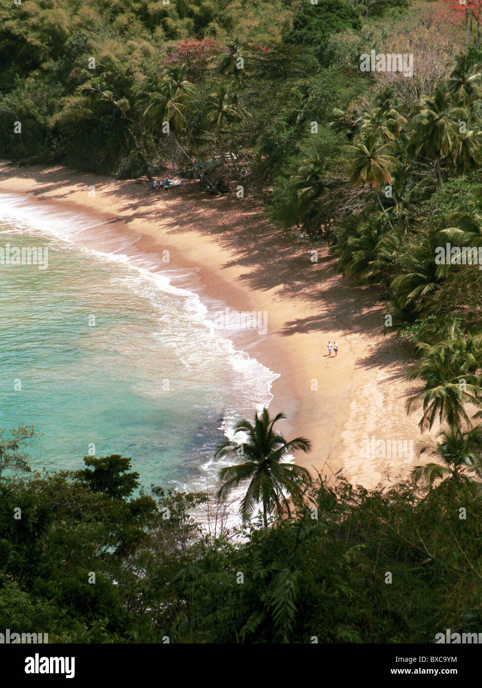 Inglese's Bay nei pressi di Castara- Trinidad e Tobago Foto Stock