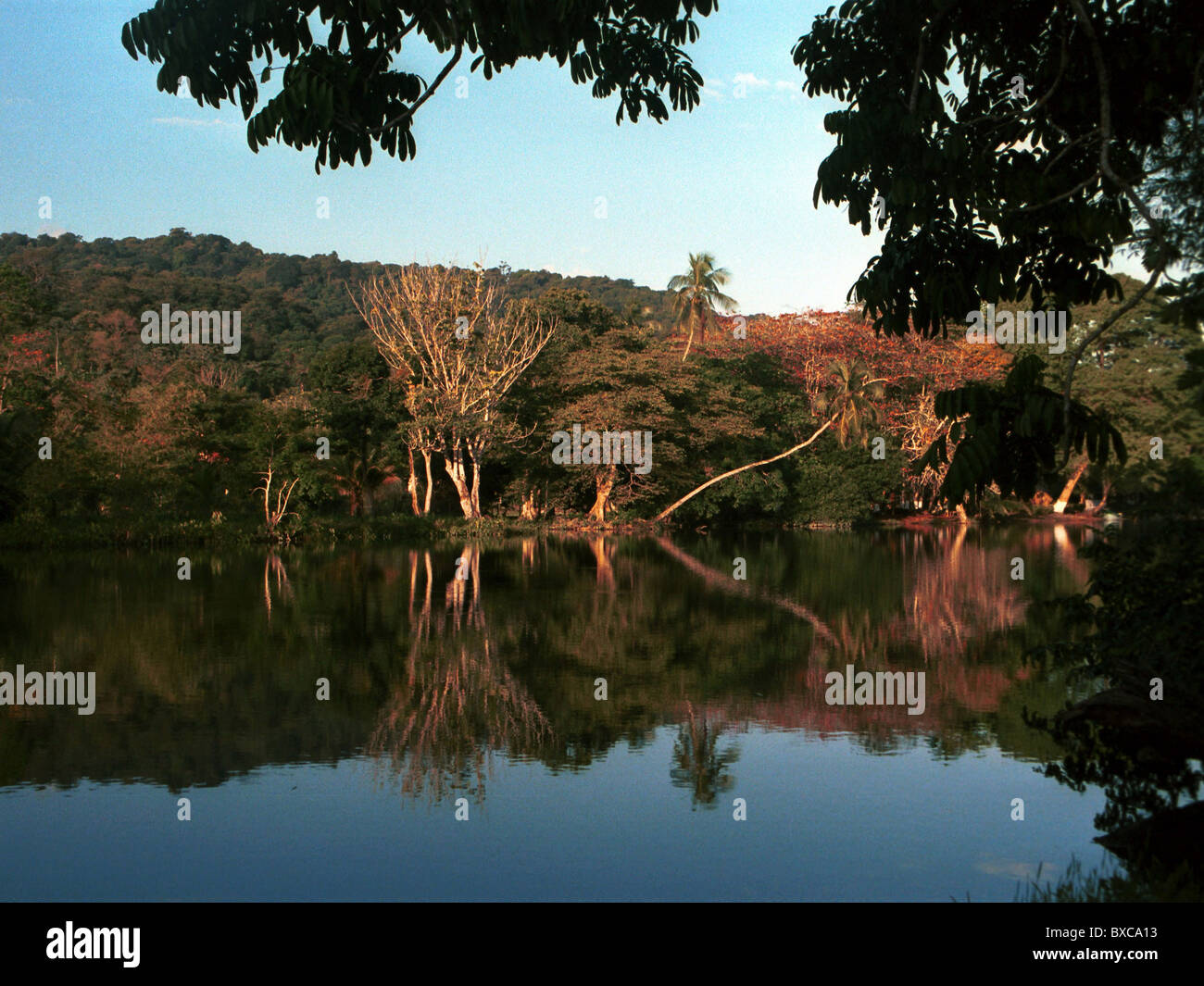 La natura al piccolo villaggio di Grand Riviere a nord di Trinidad - Trinidad e Tobago Foto Stock