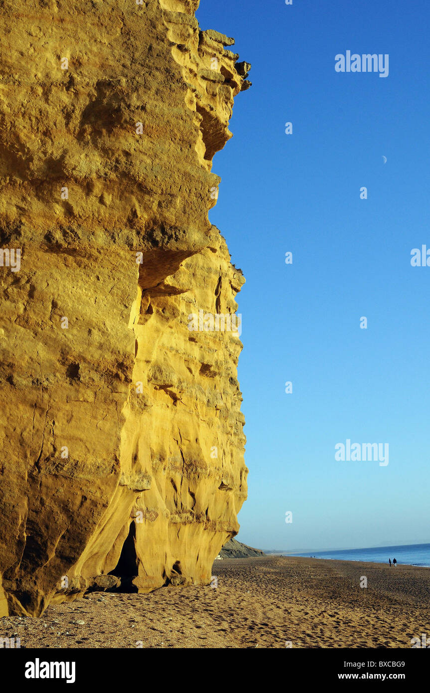 Scogliera rocciosa con la luna e la spiaggia a burton bradstock dorset Foto Stock