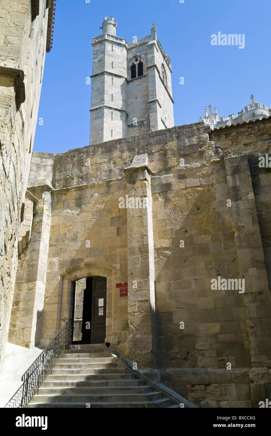 Saint-Just cattedrale in Narbonne Francia Foto Stock