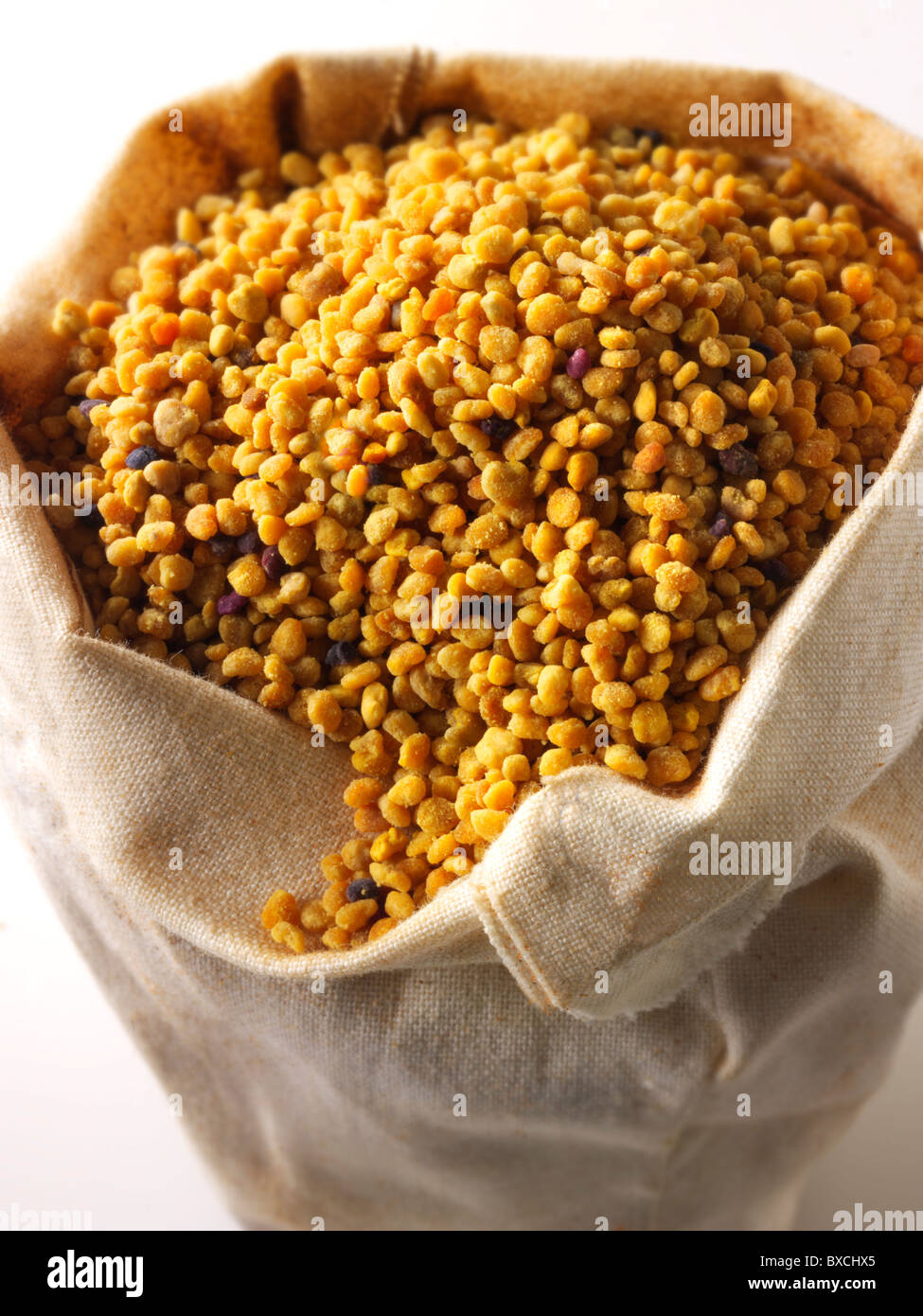 I granelli di polline - stock foto Foto Stock